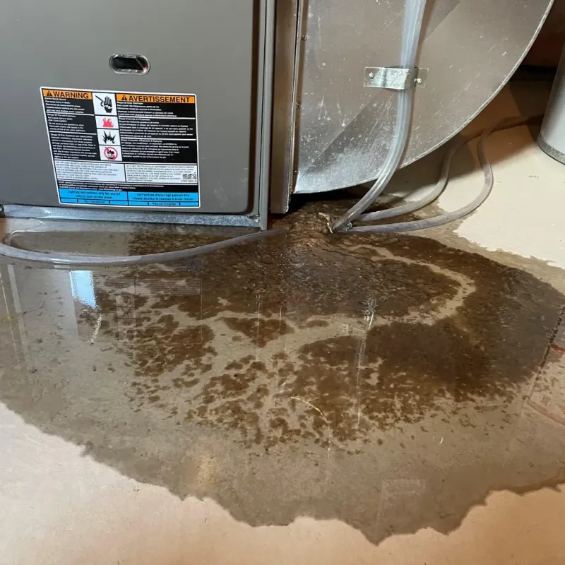 Appliance Leak Cleanup in Ballard, UT