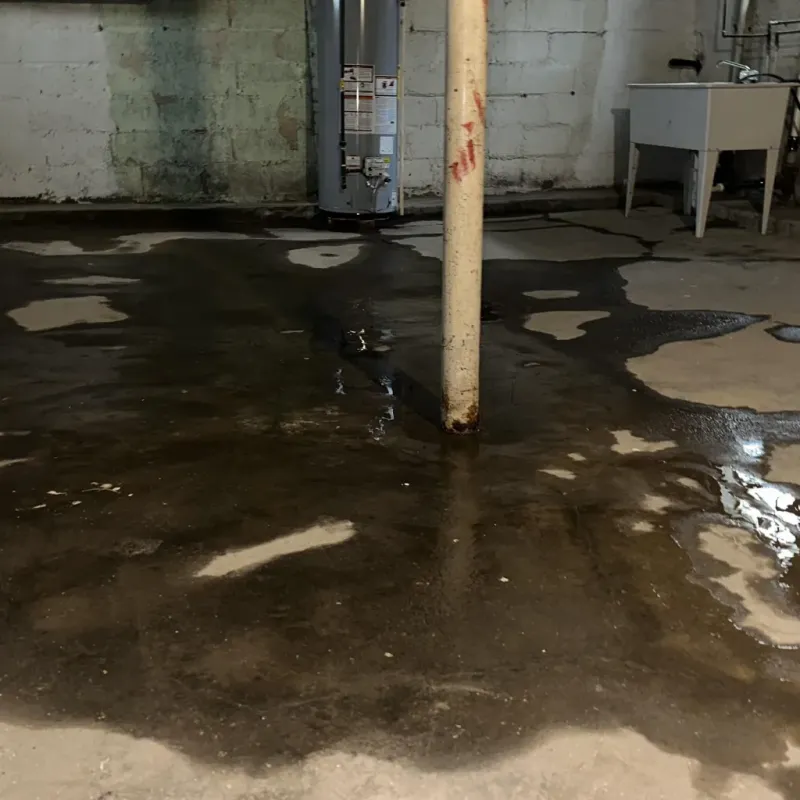 Emergency Water Extraction And Removal in Ballard, UT